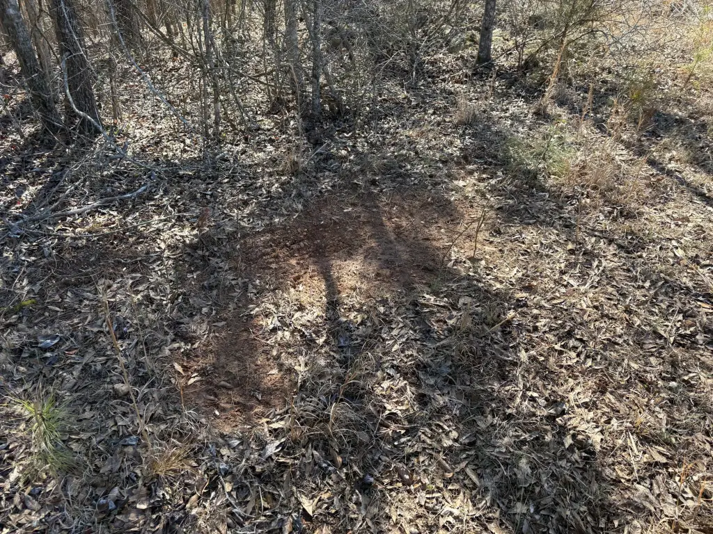 Picture 15