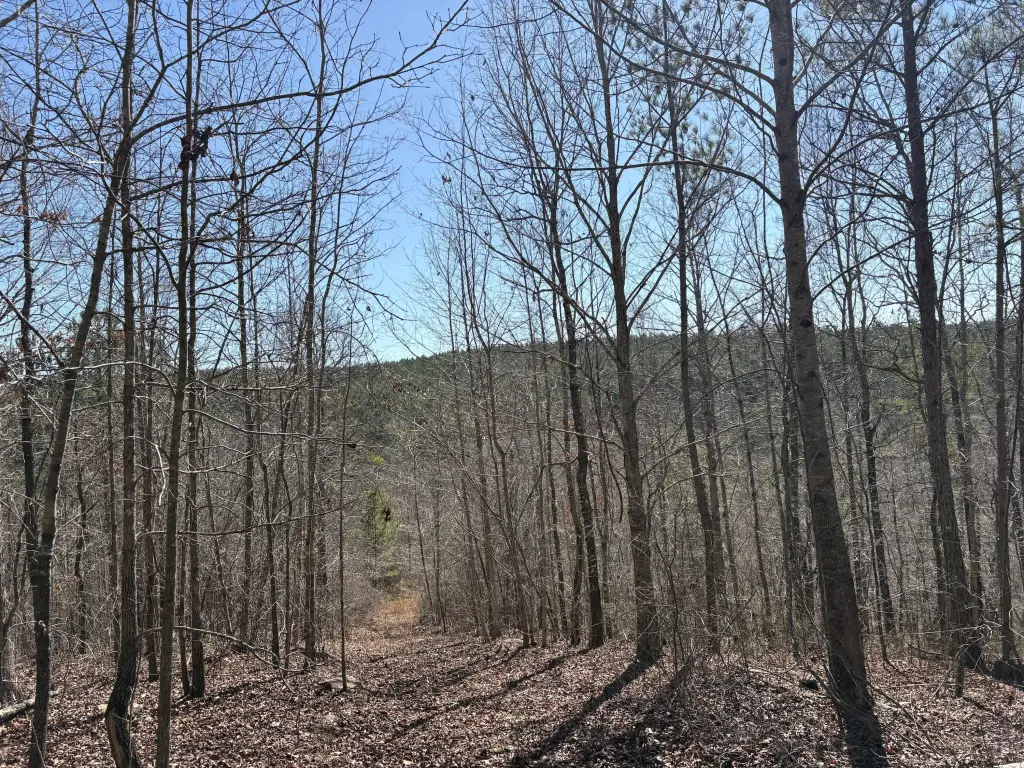 Picture 16
