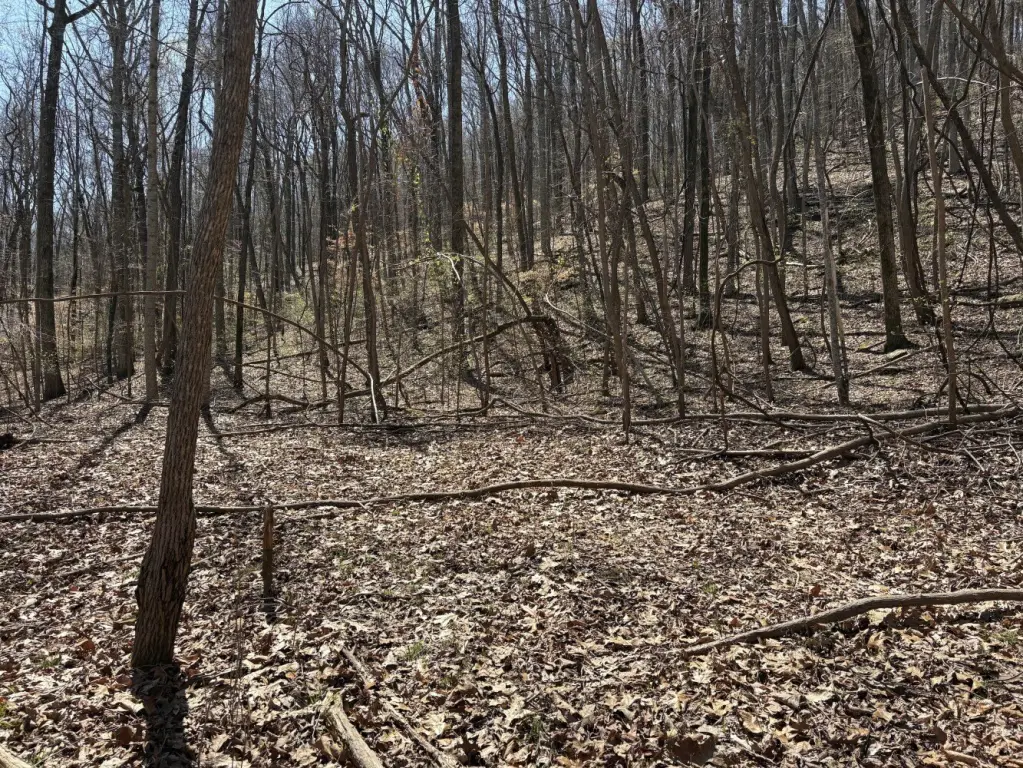 Picture 2