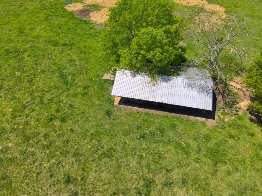 Picture 18