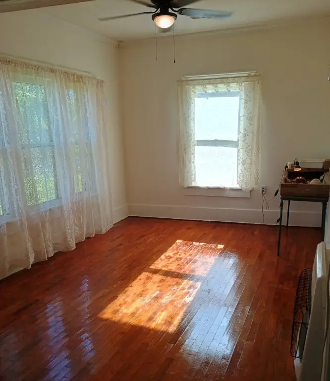 Picture 5