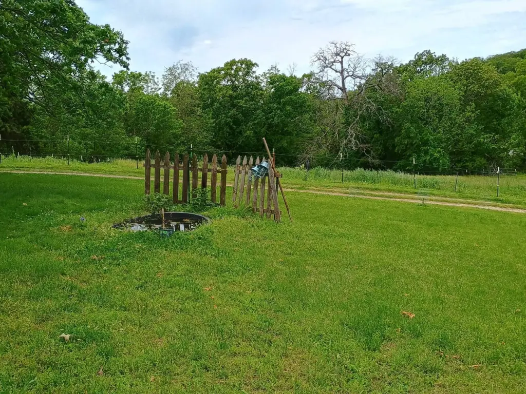 Picture 15
