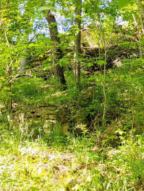 Picture 22