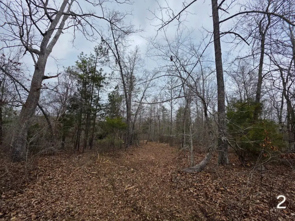 Picture 39