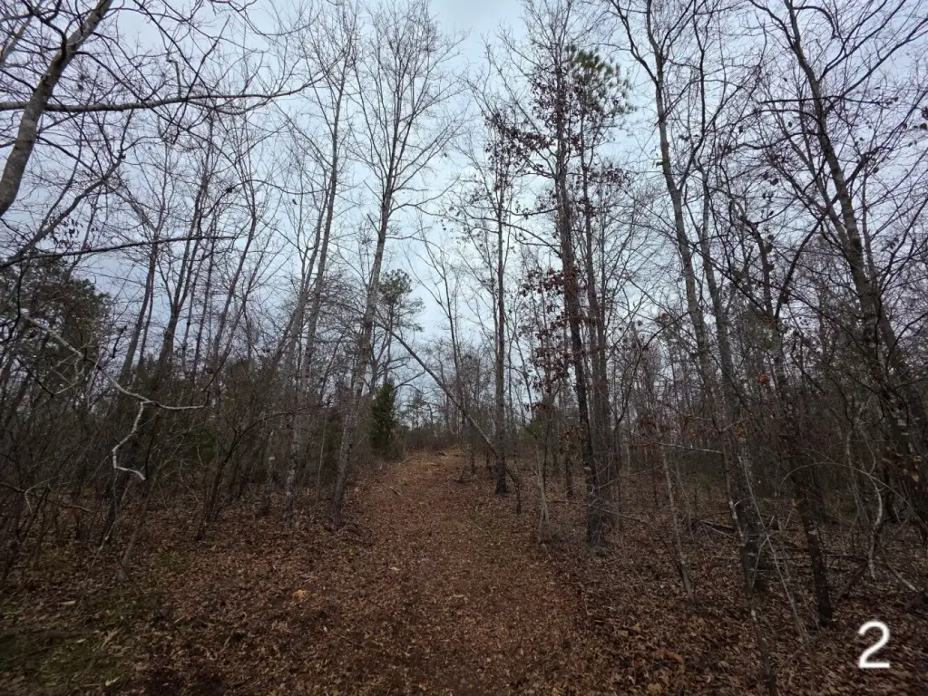 Picture 30