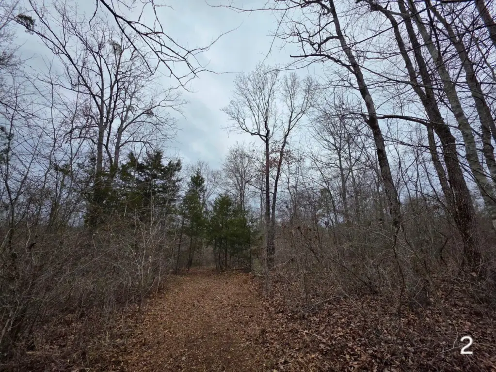 Picture 37