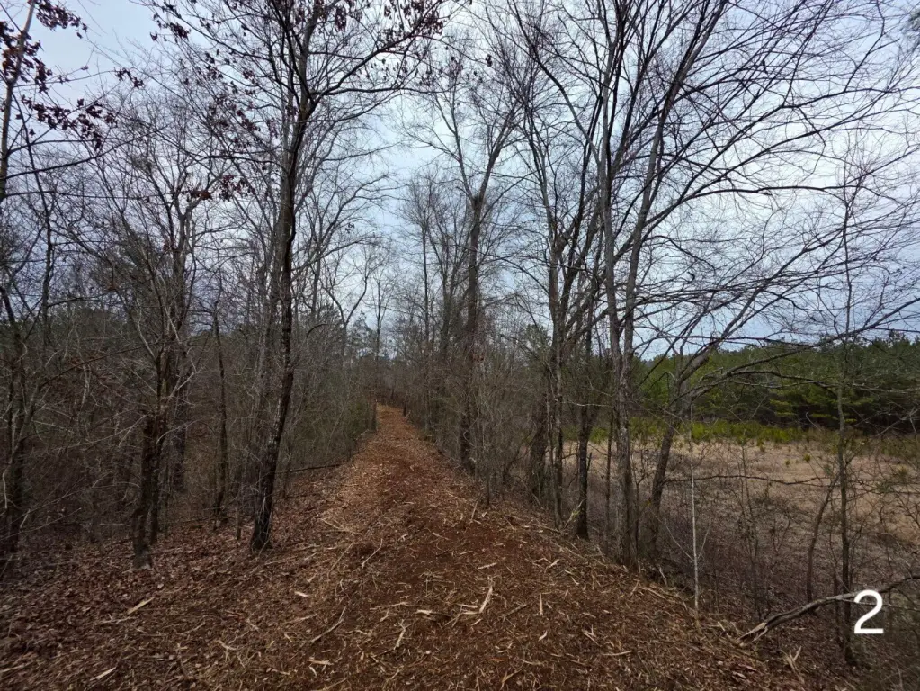 Picture 36