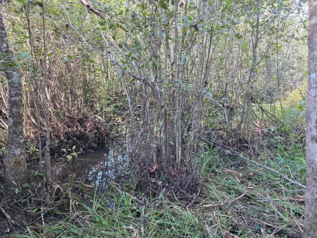 Picture 21