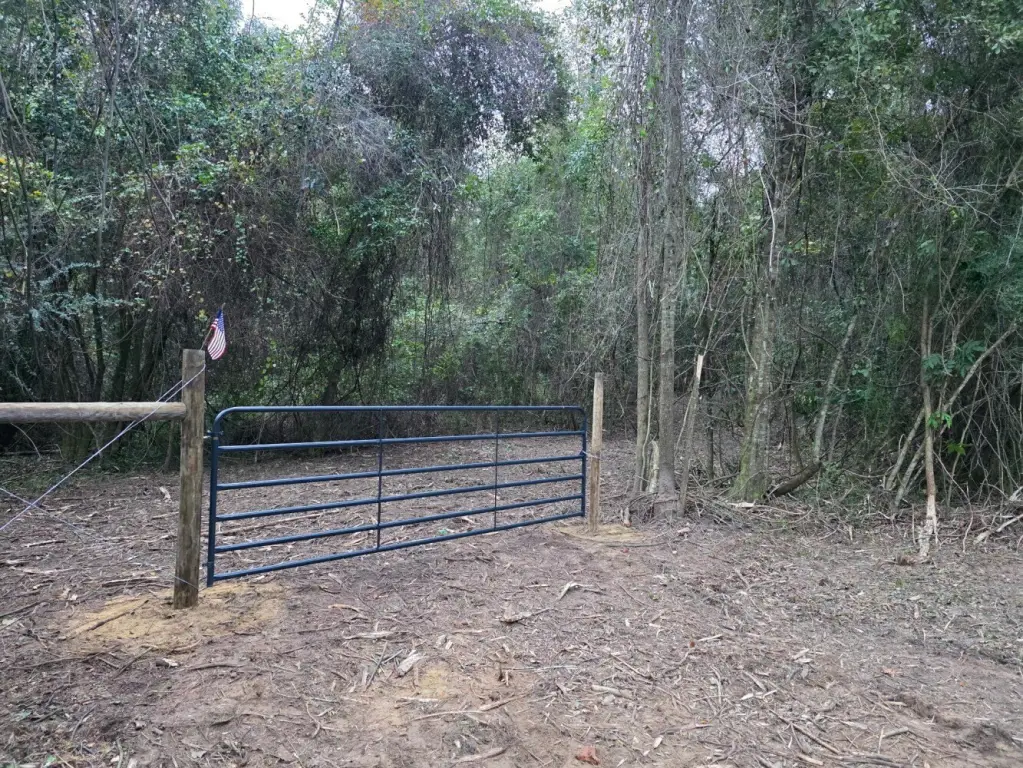 Picture 23