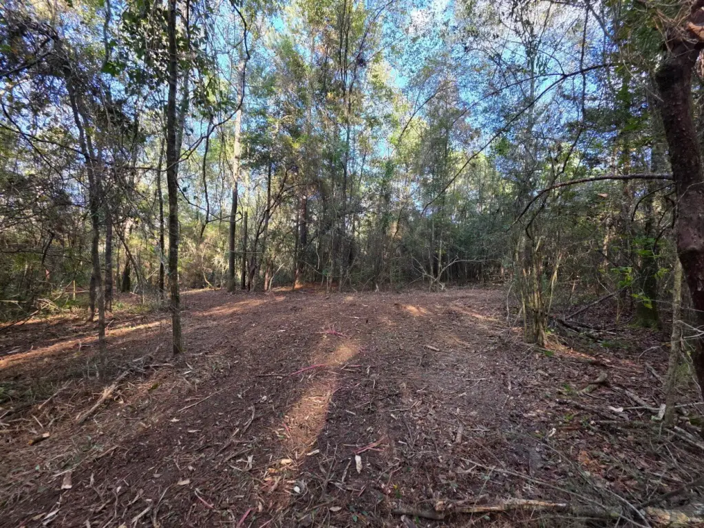 Picture 19