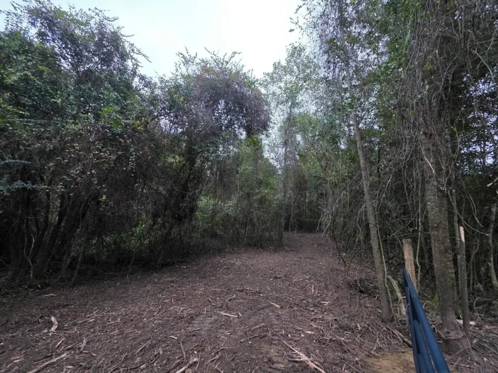 Picture 14