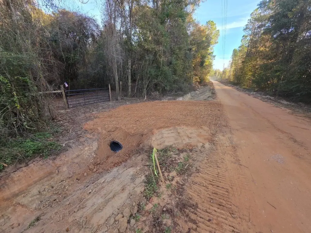 Picture 15