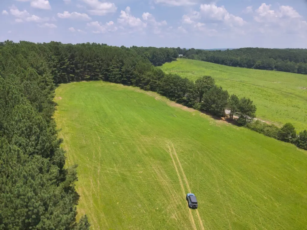 Picture 15