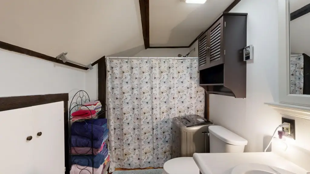 Picture 36