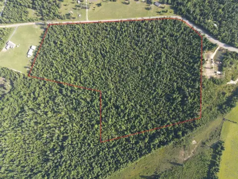 Wooded Land in Altha, Florida