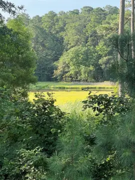 Waterfront Lot in Gated Community