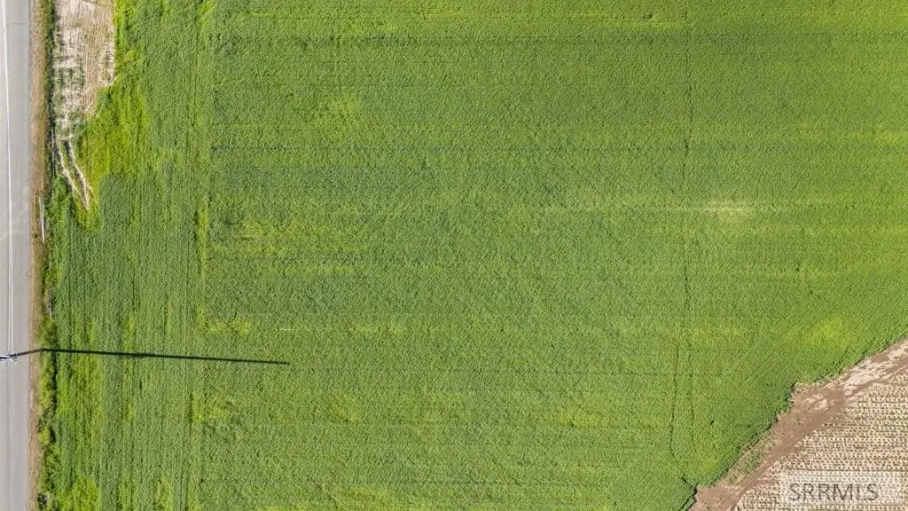 Picture 23