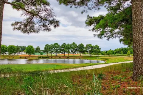 Golf Course View Homesite