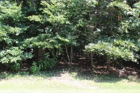 Wooded Lot in Waterfront Community