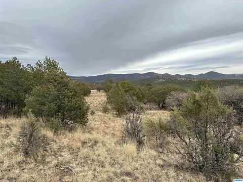 Silver City Acreage with Mountain Views