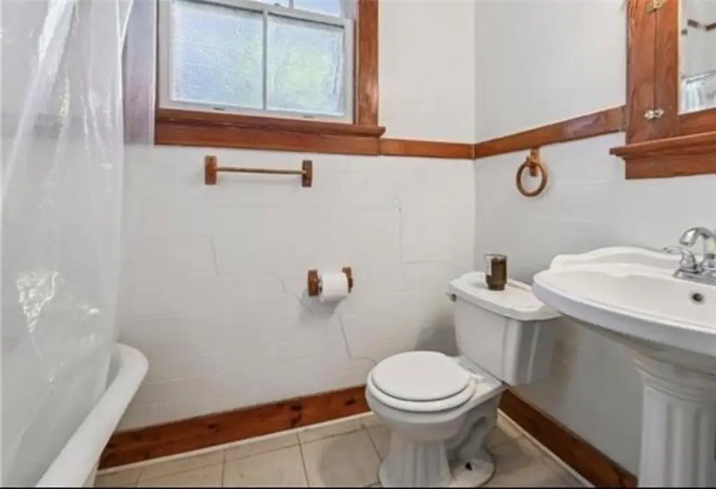 Picture 14