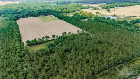 Pace, FL Acreage for Home