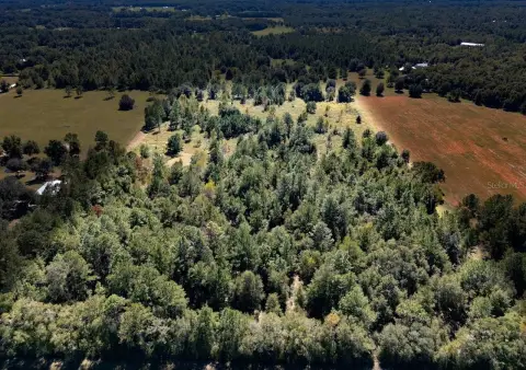 20-Acre Land Parcel in Williston, FL