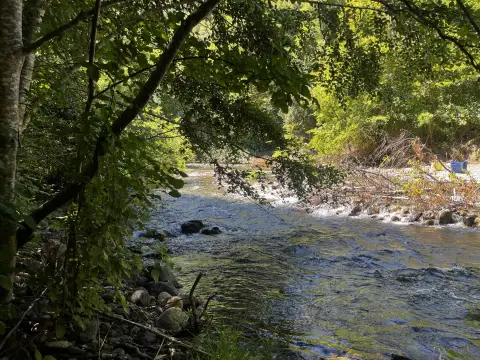 Cave Junction Land with Creek