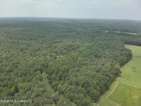 Timbered Land with Water Available