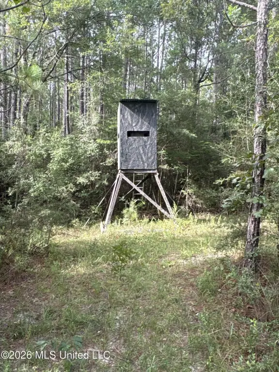 Picture 4