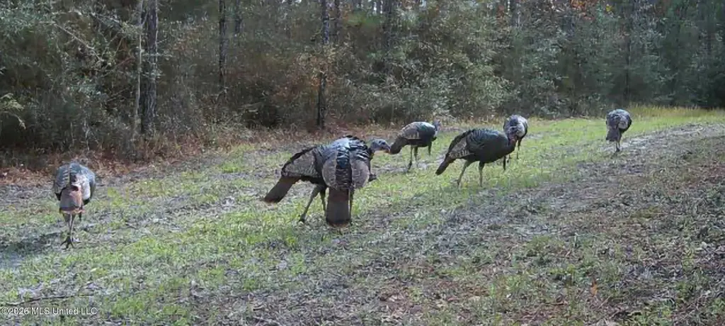 Picture 22