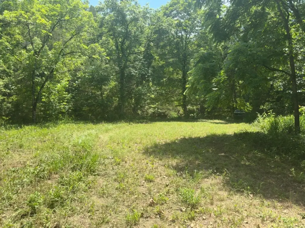 Picture 29