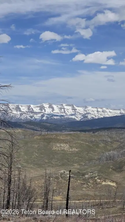 Picture 9