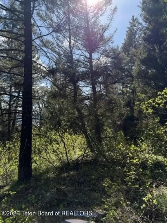 Picture 7