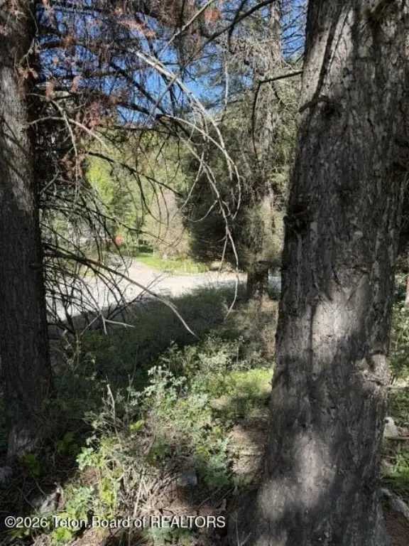 Picture 4