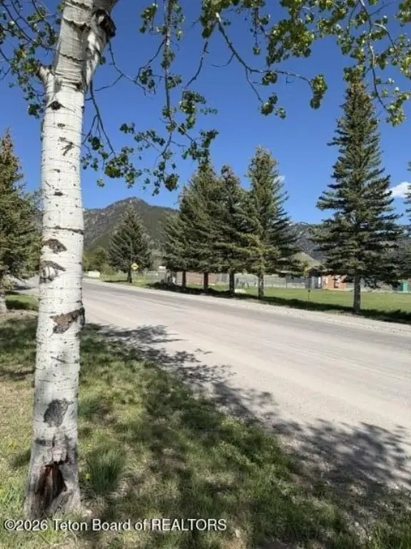 Picture 3