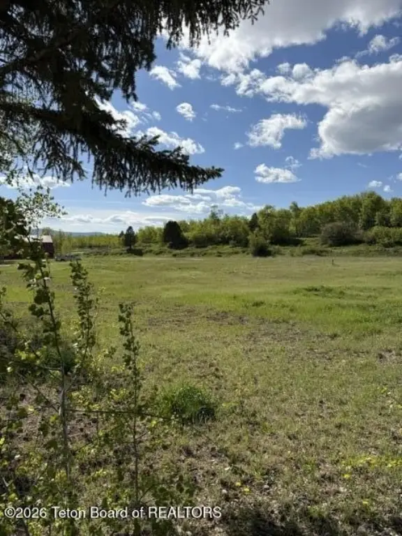 Picture 17