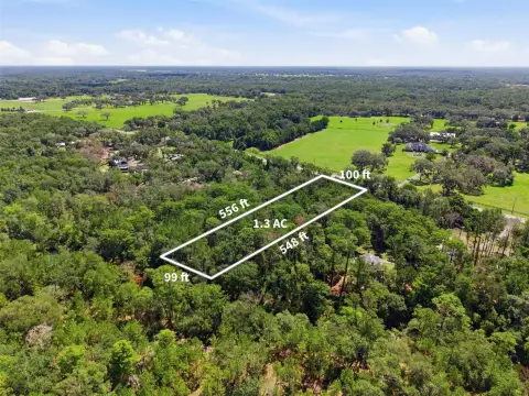 Withlacoochee Riverfront Land