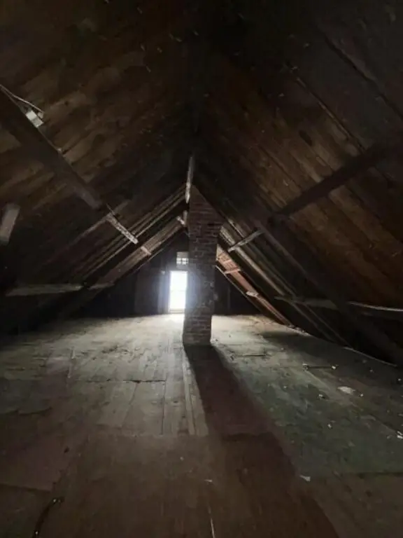 Picture 23