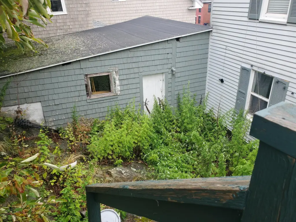 Picture 15