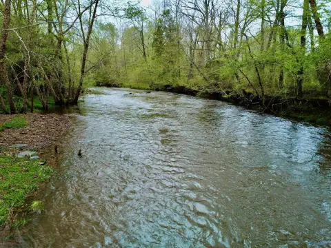 New Market Acreage with Creek