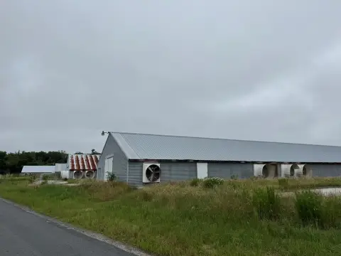 Withams, VA: Chicken Houses on Land