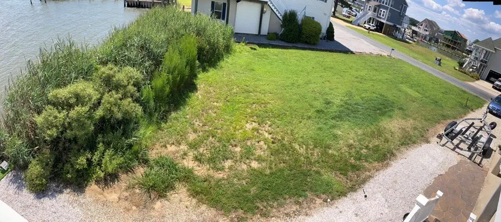 Picture 15