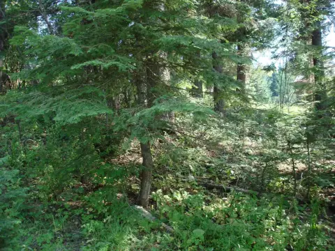 Residential Land in Aspen Ridge