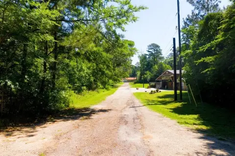 Wooded Land Near Lake Livingston