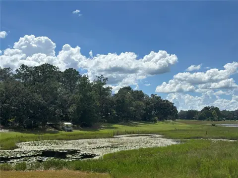 Wooded Lot on Lake Tahoe