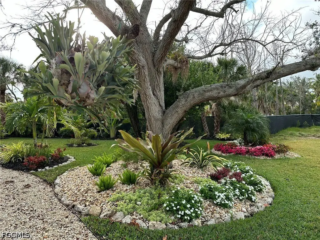 Picture 42