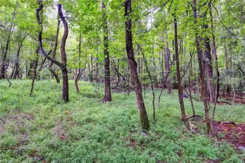 Three Acres in Williamsburg, VA