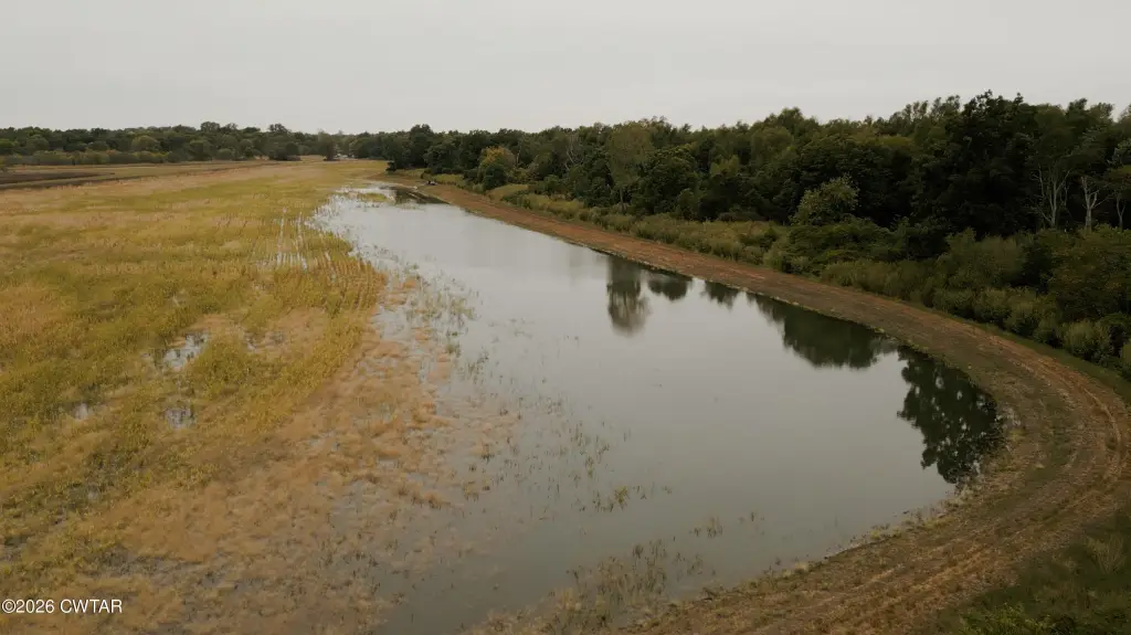 Picture 42