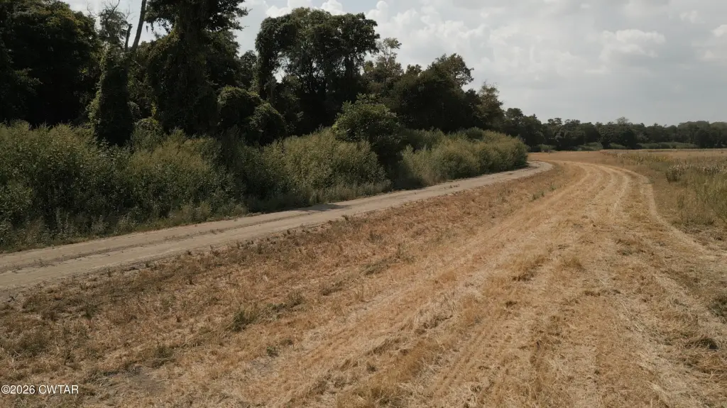 Picture 26